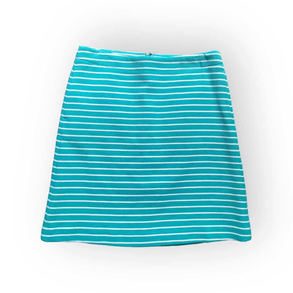 Talbots Petites Skirt